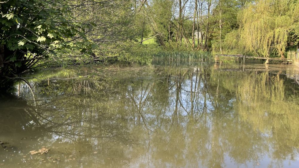 Brailsford Water Mill - Large holiday accommodation for 20 guests