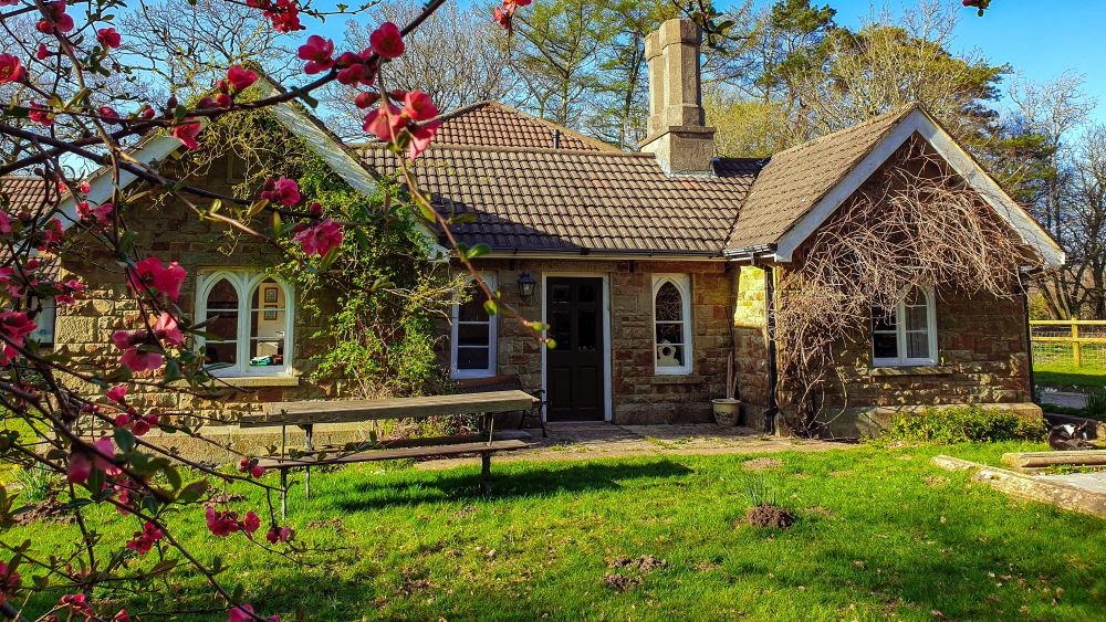 Clyne Woodland Cottages - 8 to 16 guests - Swansea, Gower, Wales